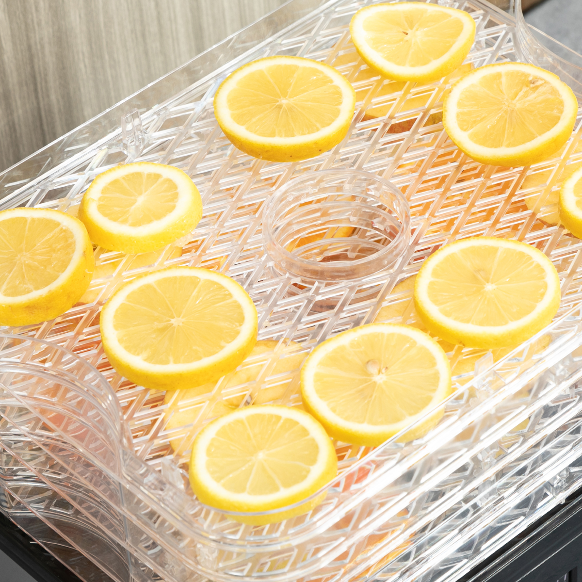 5 Tier Food Dehydrator 245W Stainless Steel Food Dryer Machine Timer LCD Silver