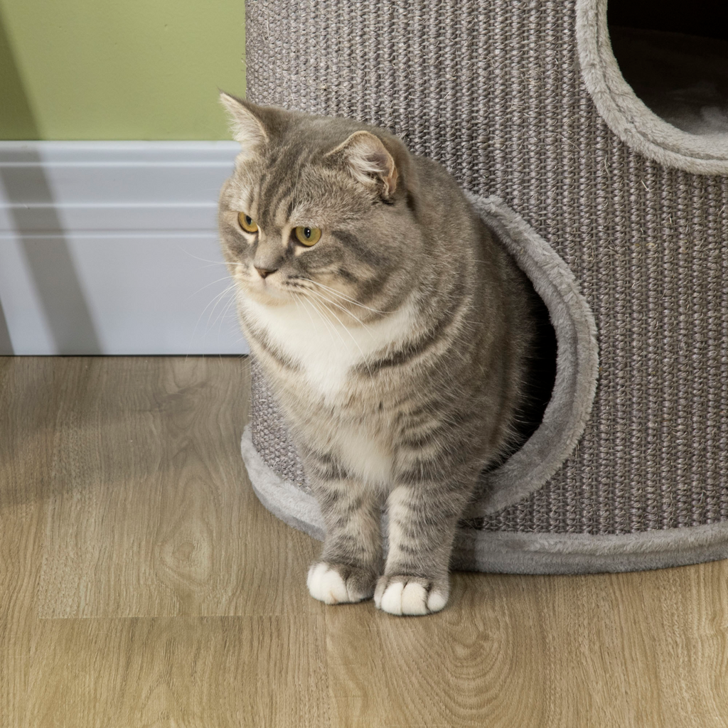 Cat Barrel Kitten Tree Tower for Indoor Cats, Covered with Sisal, Cosy Platform