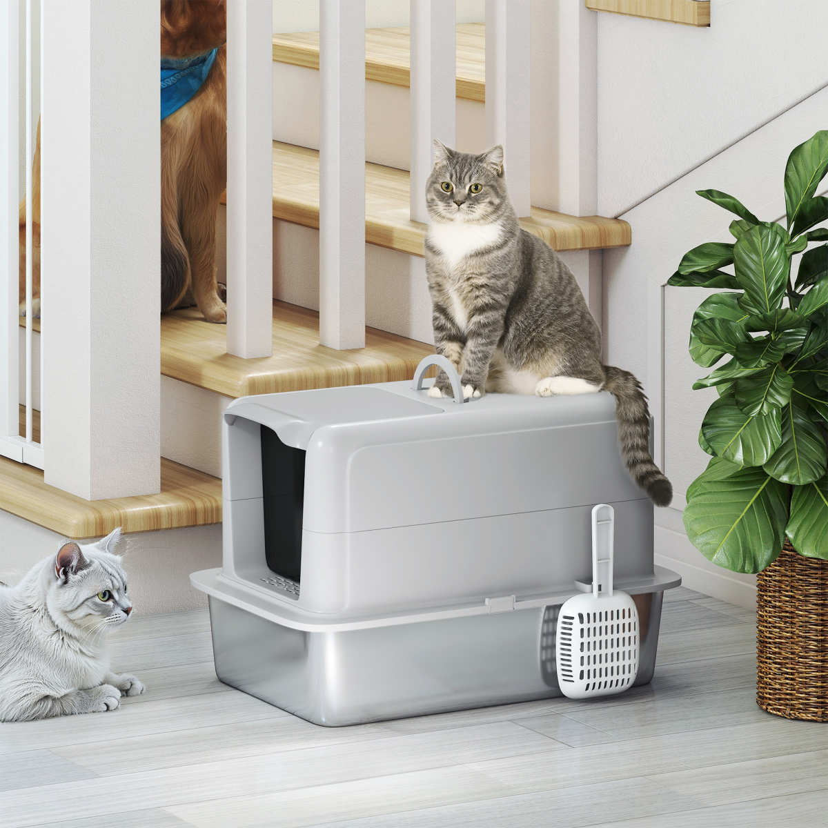 Cat Litter Box