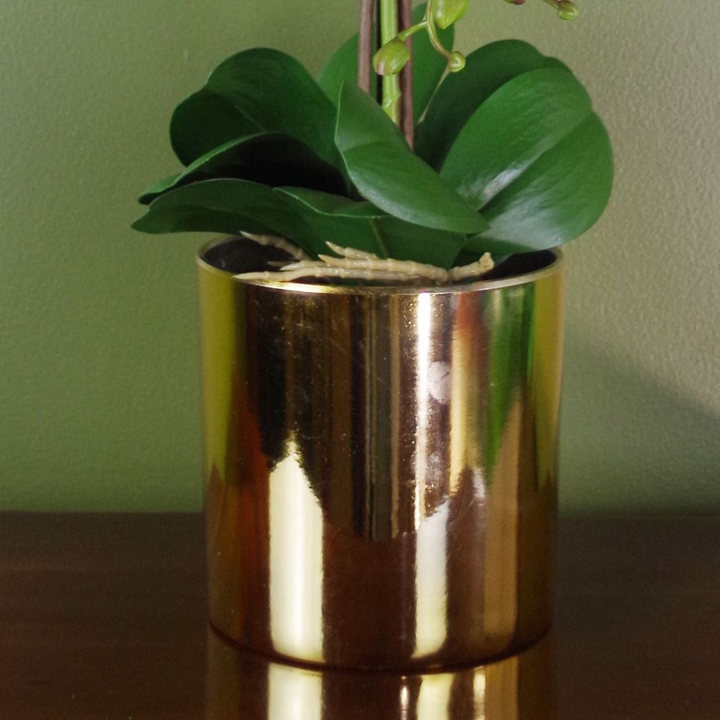52cm Artificial Orchid Large White and Gold