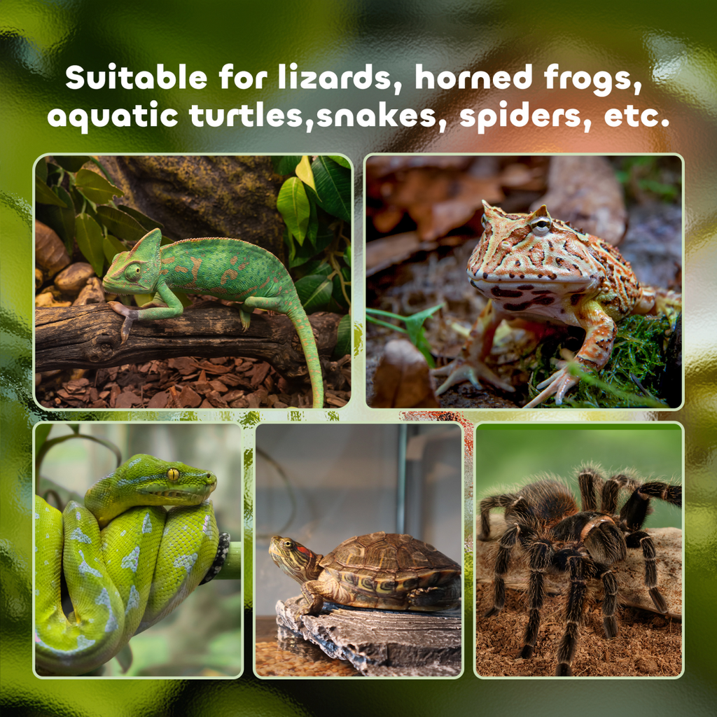 Glass Reptile Terrarium Habitats for Lizards, Frogs, Snake PawHut