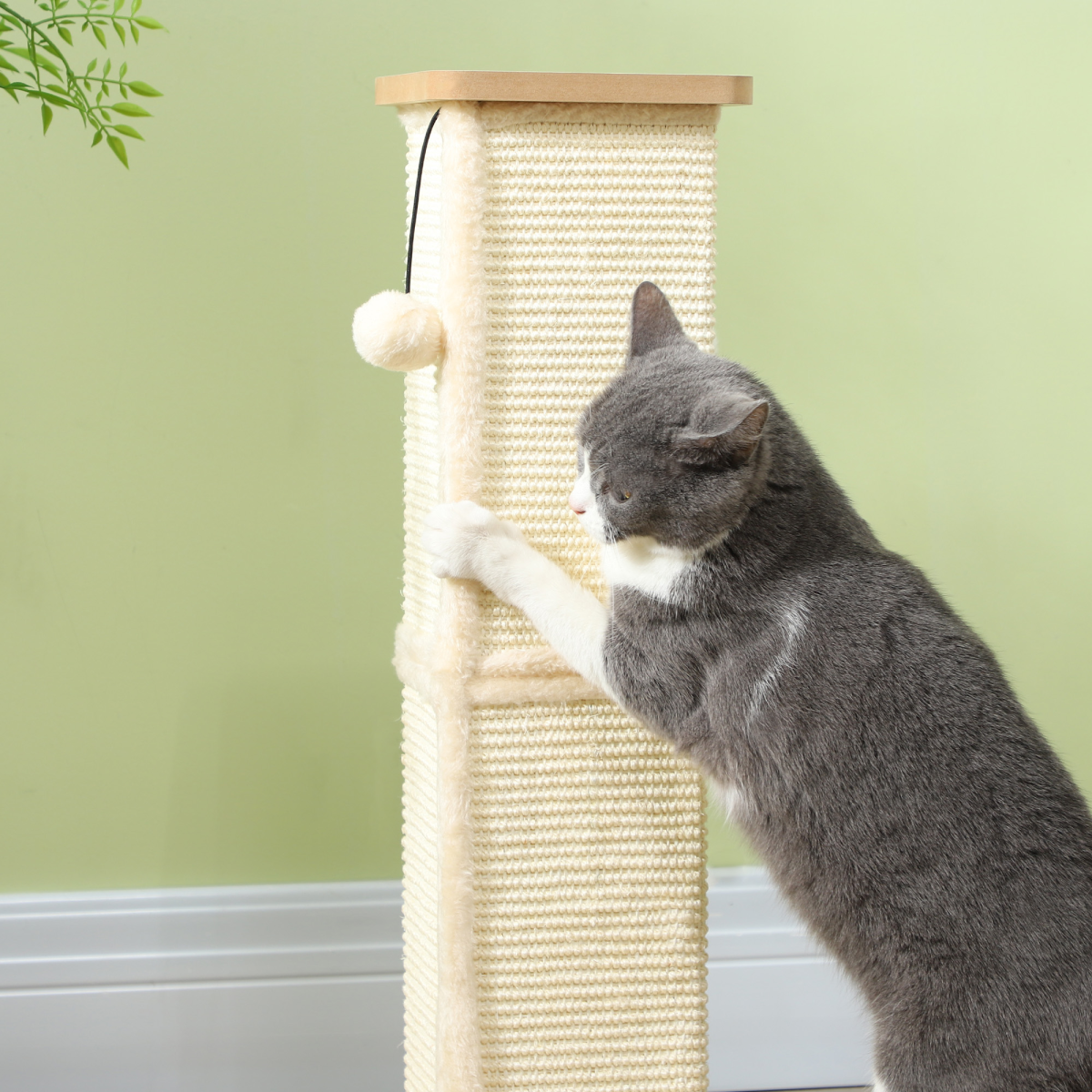 PawHut 67cm Cat Scratching Post 3 in 1 Cat Scratcher w/ Track Ball Toy