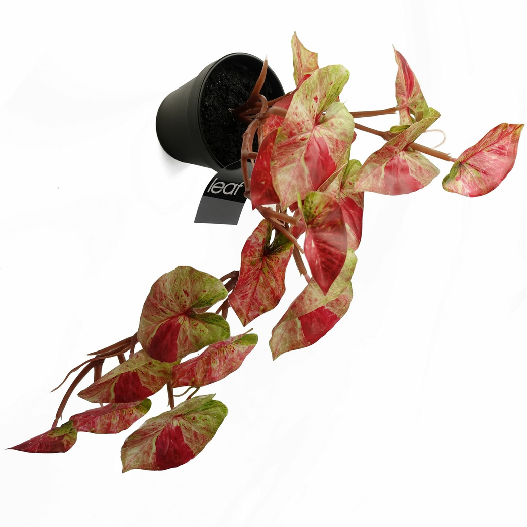 35cm Artificial Trailing Hanging Plant Realistic Pink Splash Caladium