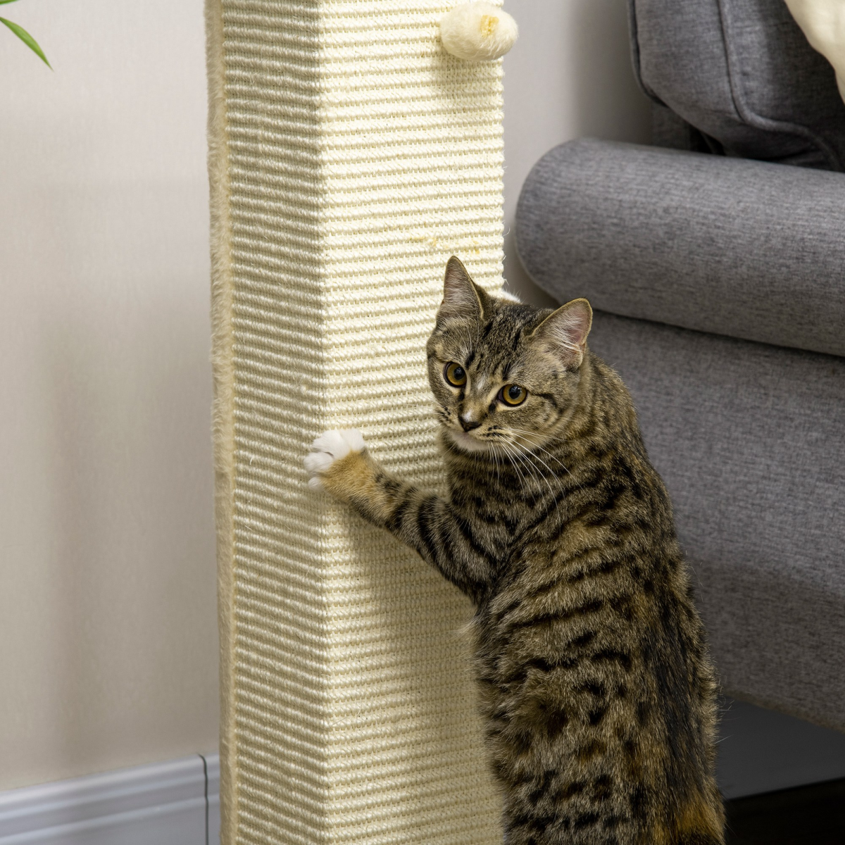 80cm Sisal Rope Scratching Post with Toy Ball - White