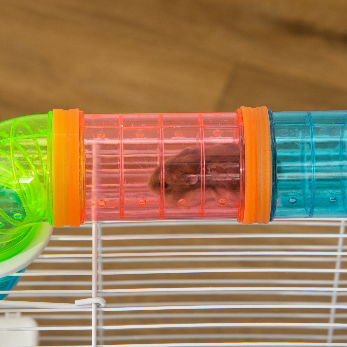 Hamster Cage Rodents House w/ Tubes Exercise Wheel, Water Bottle -  Blue