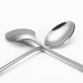 Vinsani 12pcs SSLong Hndle Latte Spns