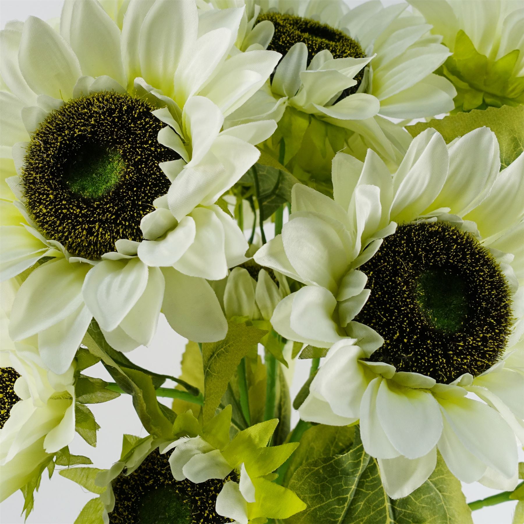 Pack of 6 x 88cm White Artificial Sunflower - 18 heads