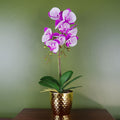 50cm Phalaenopsis Orchid Artificial - Purple / White - Gold Pot