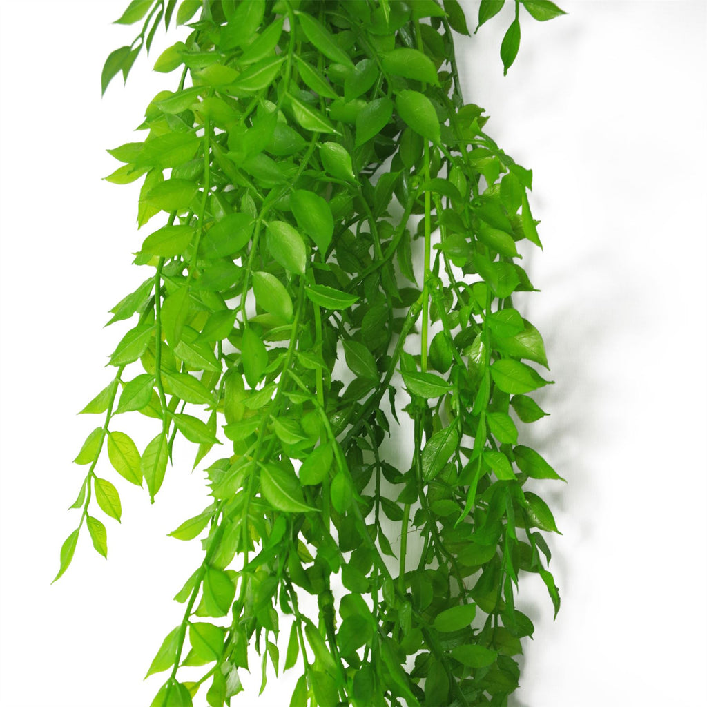 100cm Hanging String of Pearls Fern Plant Light Green