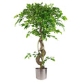 120cm Twisted Trunk Artificial Japanese Fruticosa Style Ficus Tree