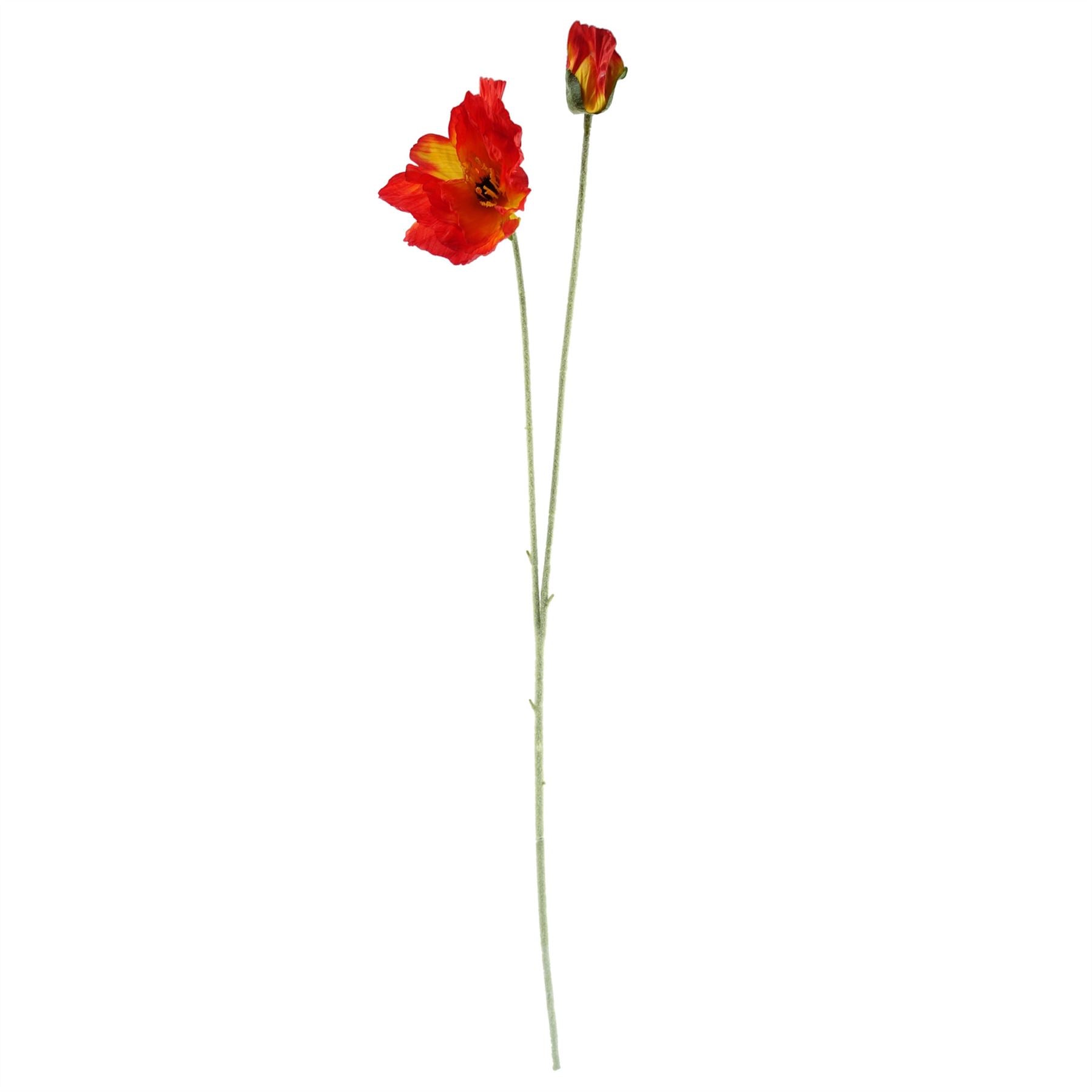 100cm Poppy and White Blossom Arrangement Glass Vase