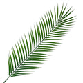 100cm Realistic Artificial Palm Leaf