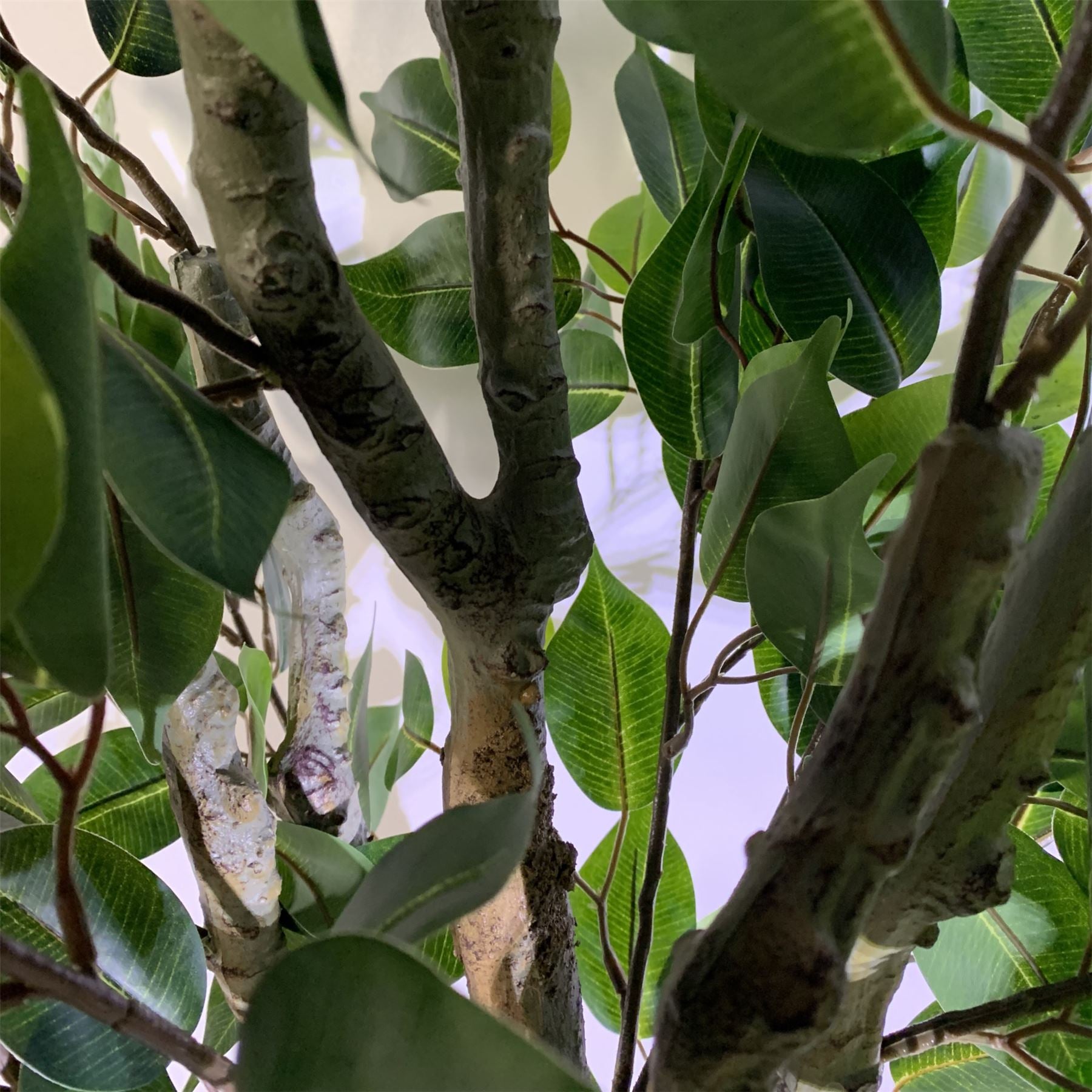 100cm Premium Artificial Ficus Twist Tree