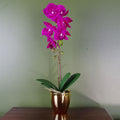 46cm Artificial Orchid Dark Pink / Gold