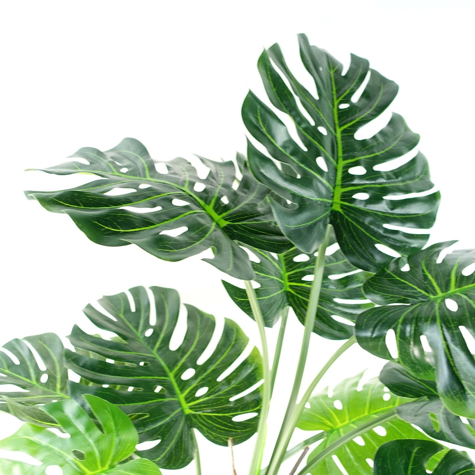 150cm (5ft) Luxury Monstera Cheese Plant Black Pot