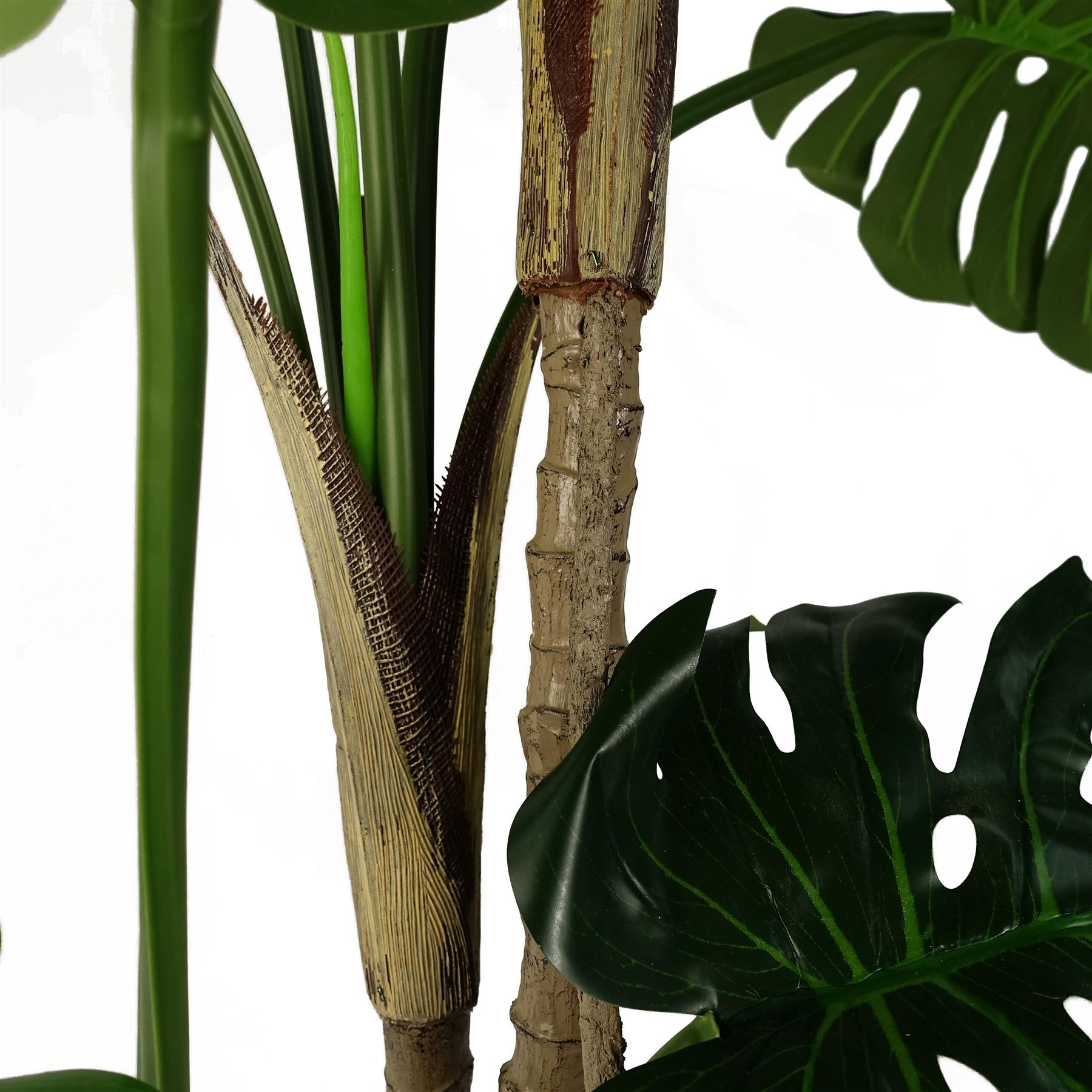 150cm (5ft) Luxury Monstera Cheese Plant Black Pot