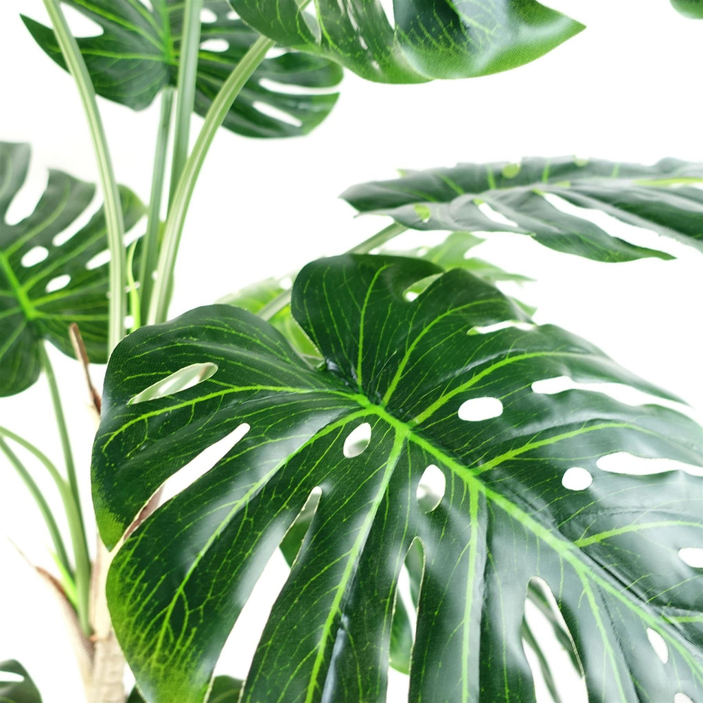 150cm (5ft) Luxury Monstera Cheese Plant Black Pot