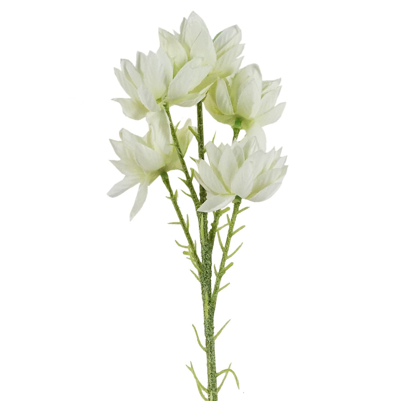 Pack of 6 x 60cm White Starflower Stem - 30 Flowers
