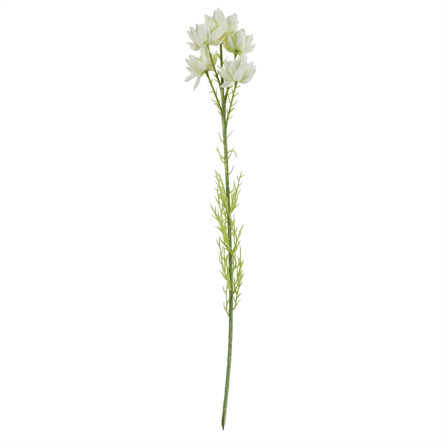 Pack of 6 x 60cm White Starflower Stem - 30 Flowers