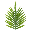 95cm Green Palm Leaf