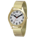 Ravel Men's Basic Bold Easy Read Expander Bracelet Watch Gilt R0225.02.1
