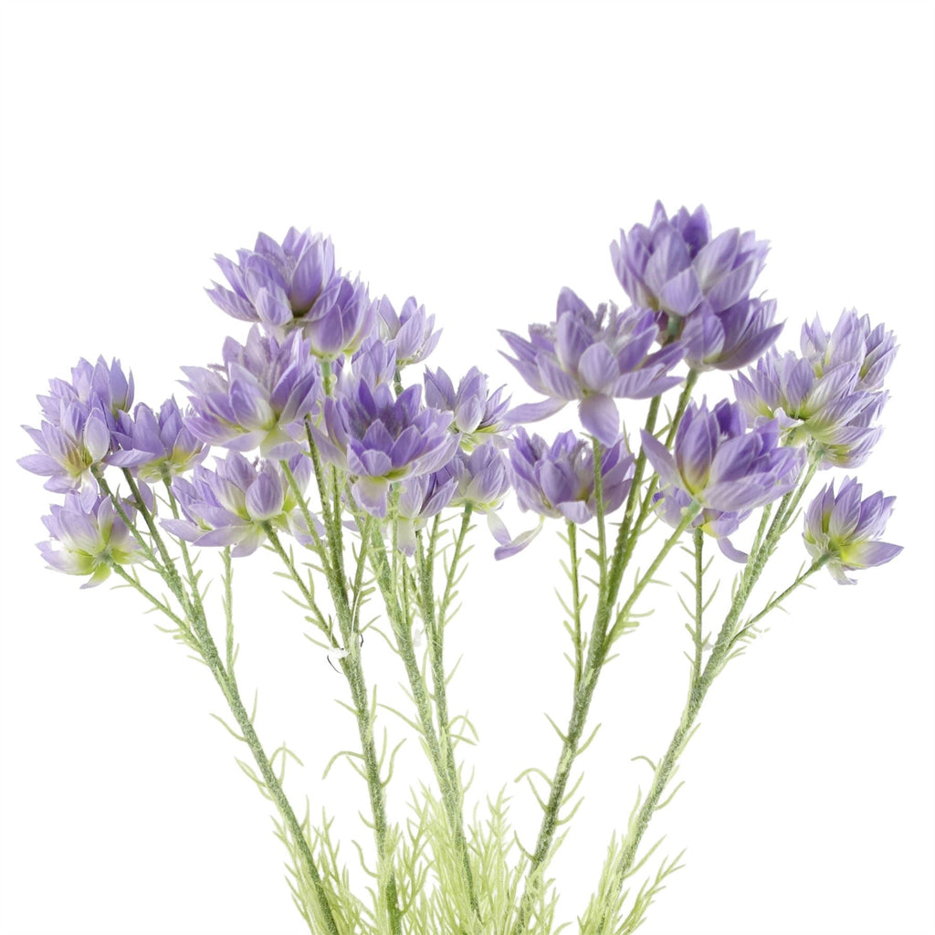 Pack of 6 x 60cm Purple Starflower Stem - 30 Flowers