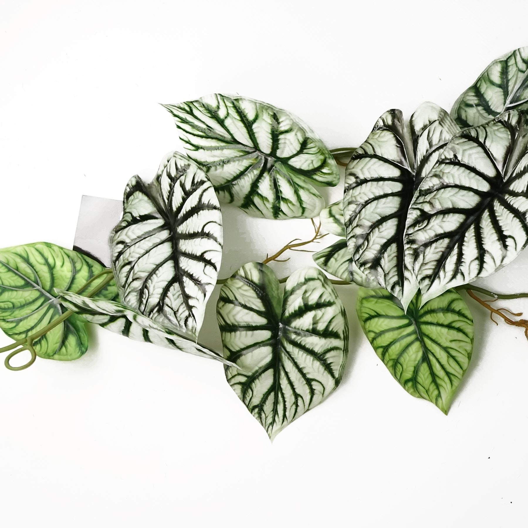 6 x 120cm Artificial Hanging Trailing Plant Alocasia Dragon Scale Light