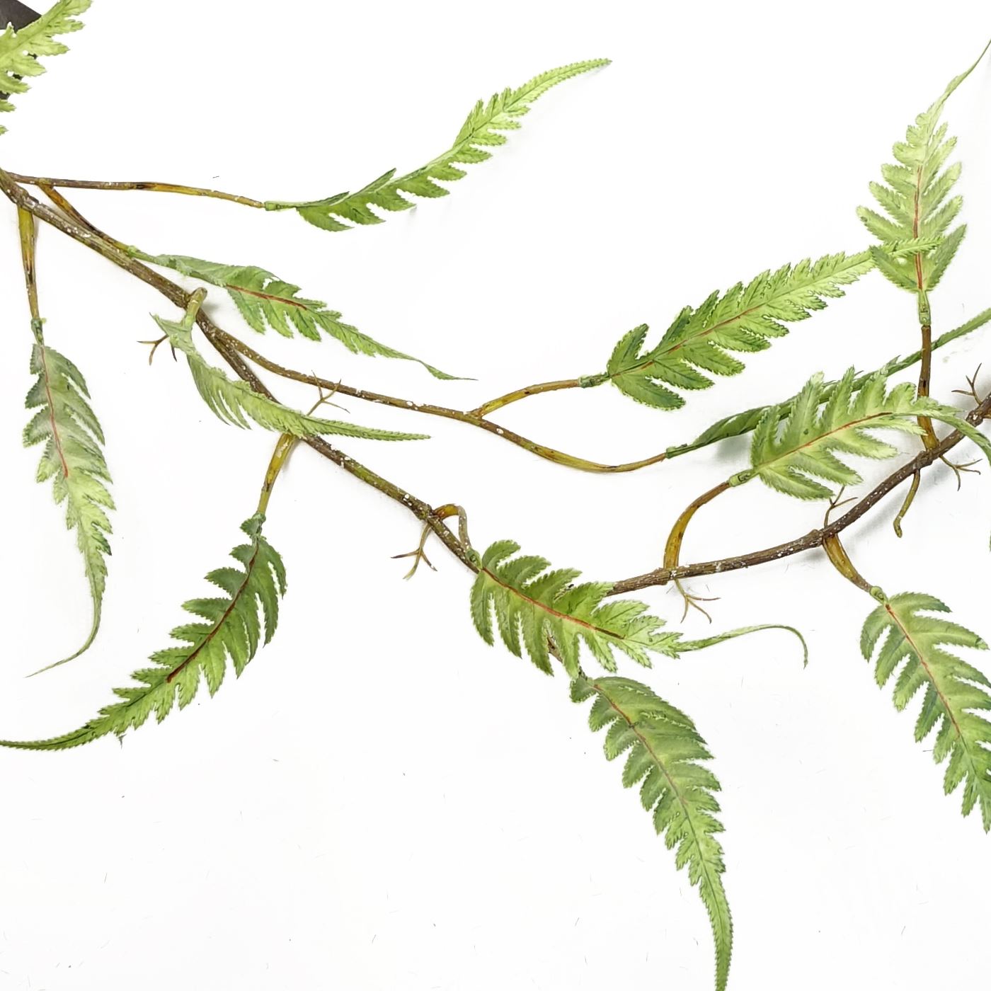 6 x 125cm Artificial Hanging Trailing Fern Plant