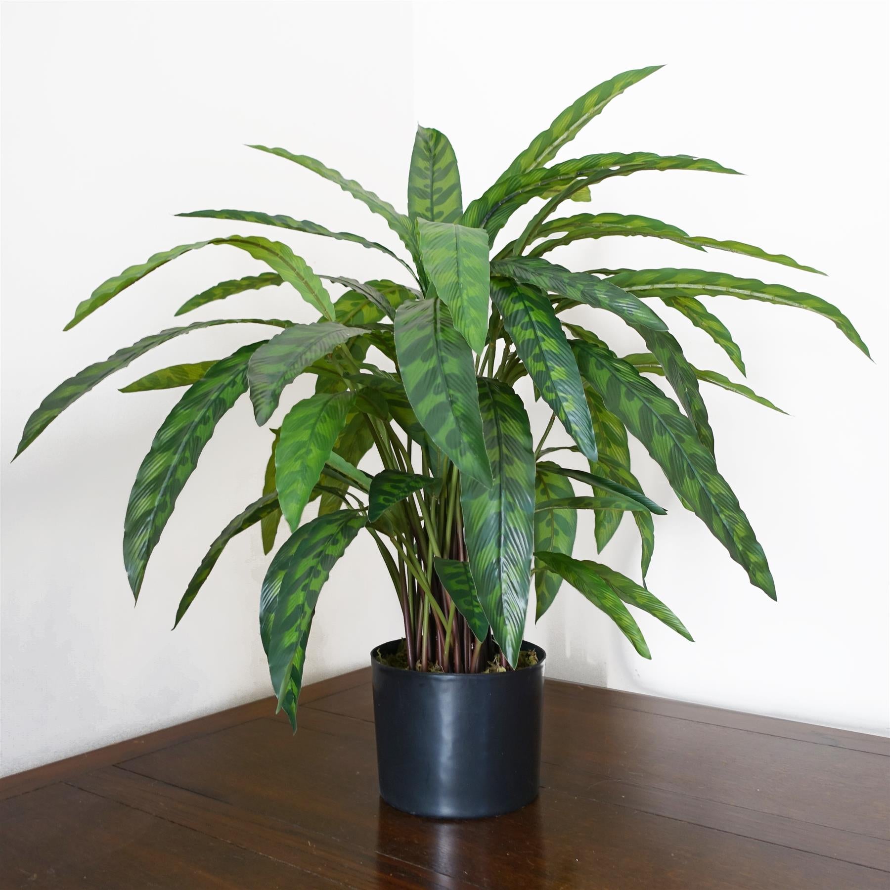 60cm Variegated Artificial Calathea Plant