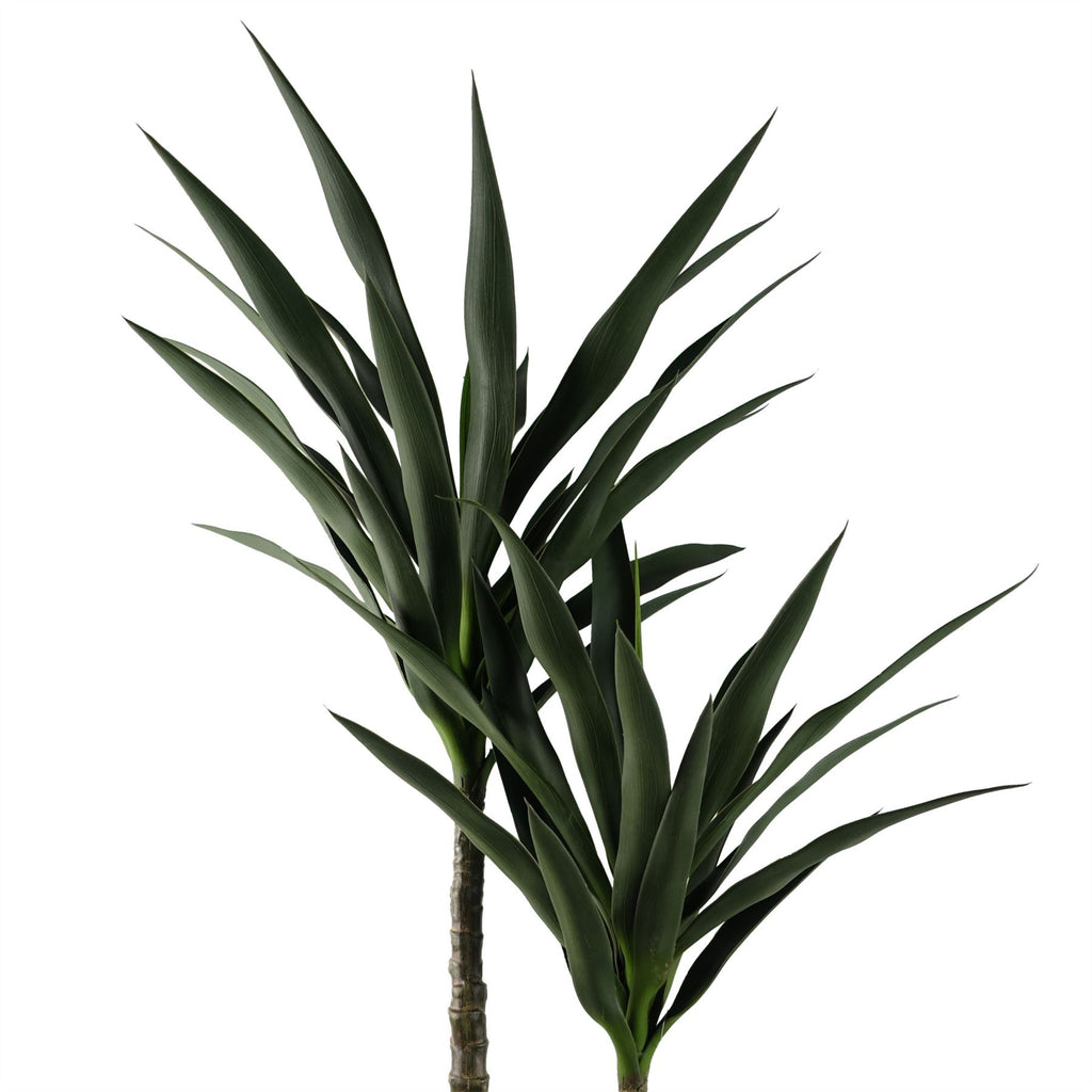 120cm Yucca Tree UV Resistant Outdoor