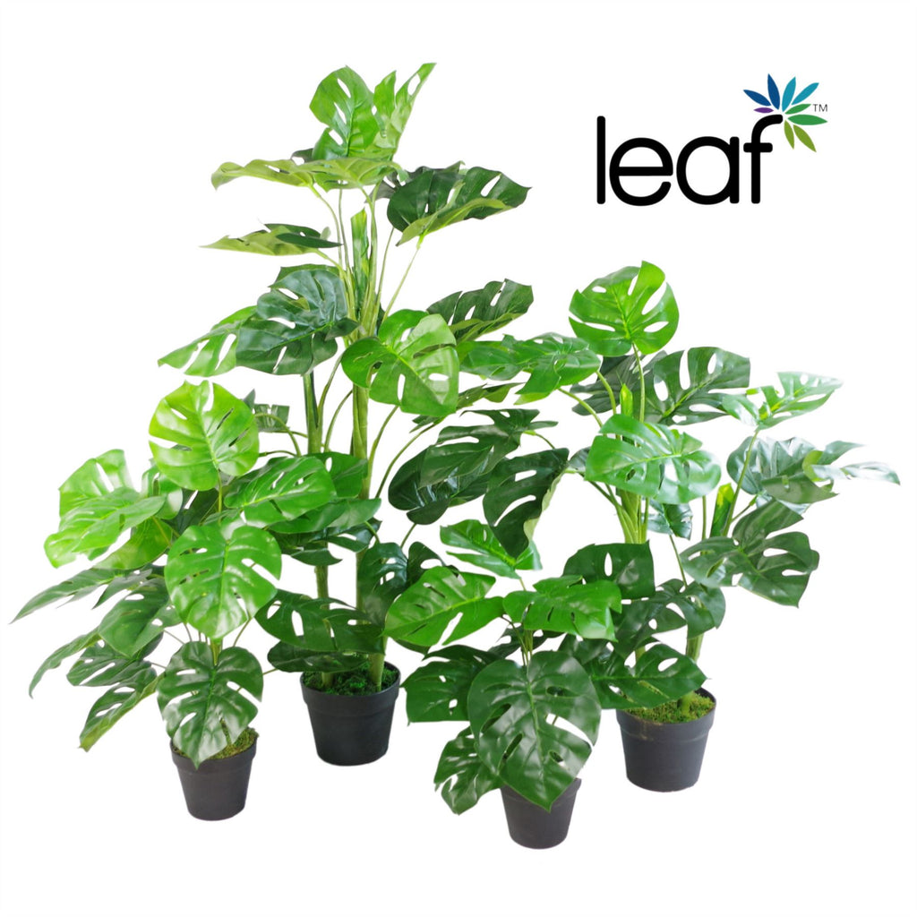 Artificial Monstera Plant - 100cm Monstera