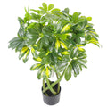 70cm Artificial Twisted Stem Gold Capella Arboricola Artificial Plant Bonsai Bush