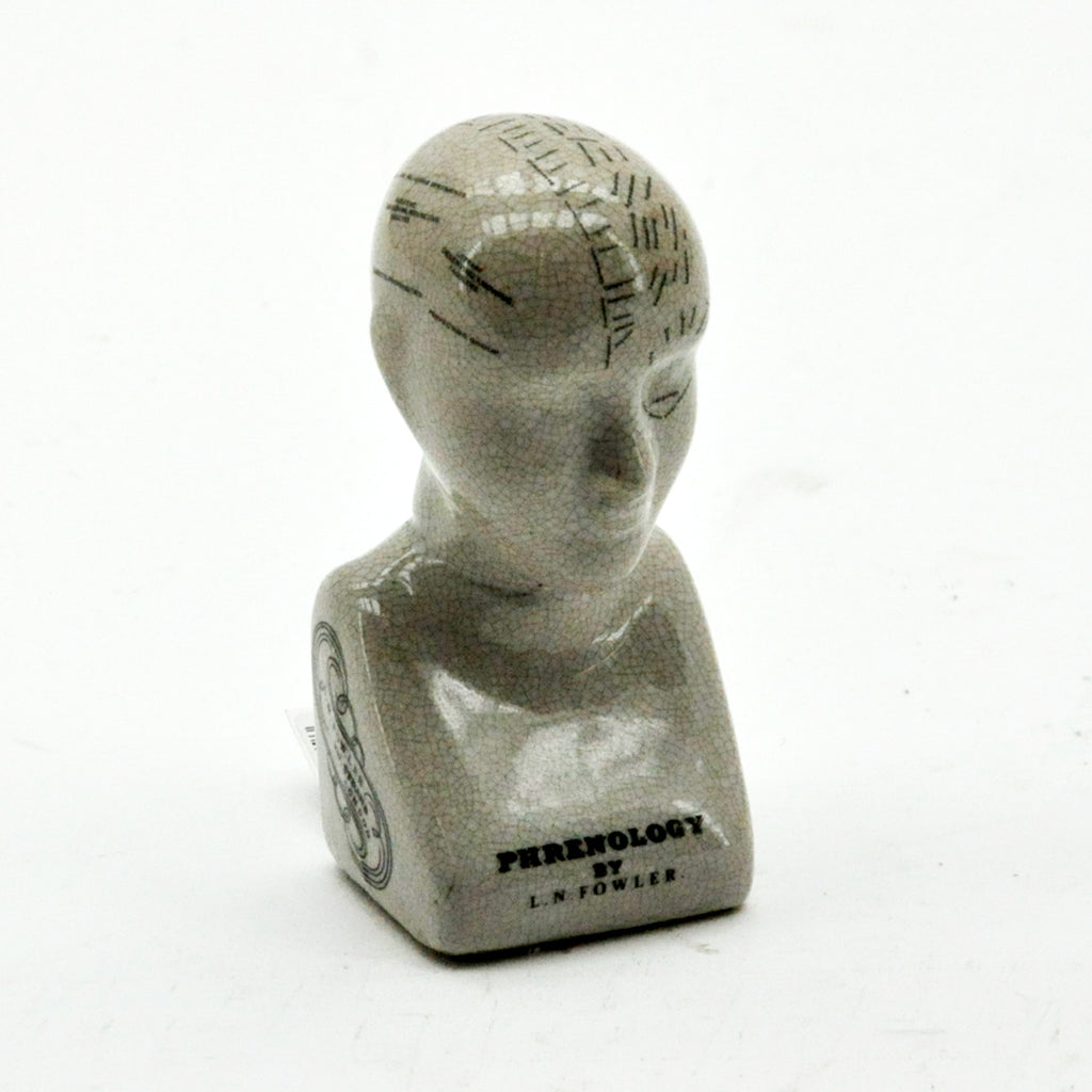 AcaciaHome 6'' Phrenology Ceramic Head