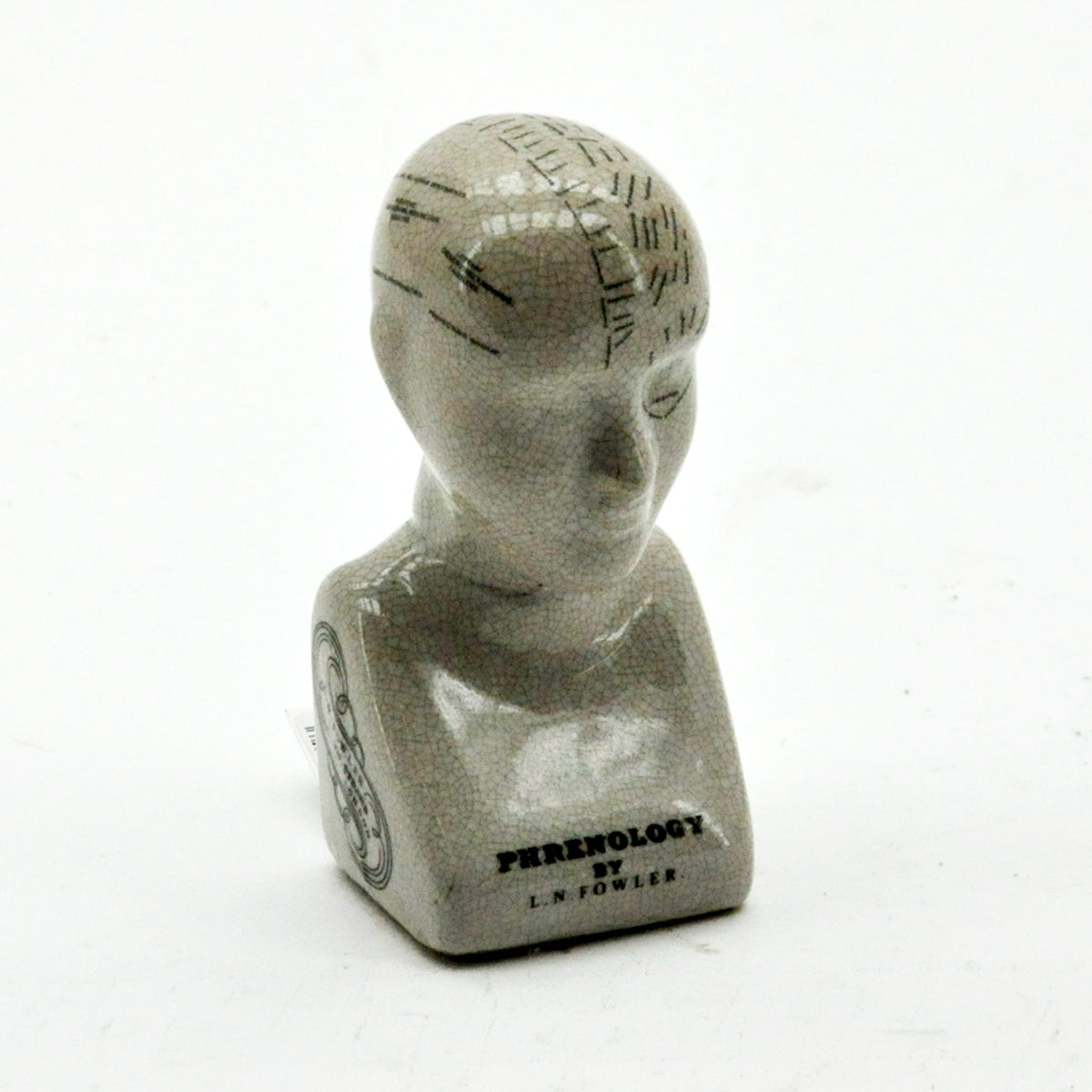 AcaciaHome 6'' Phrenology Ceramic Head