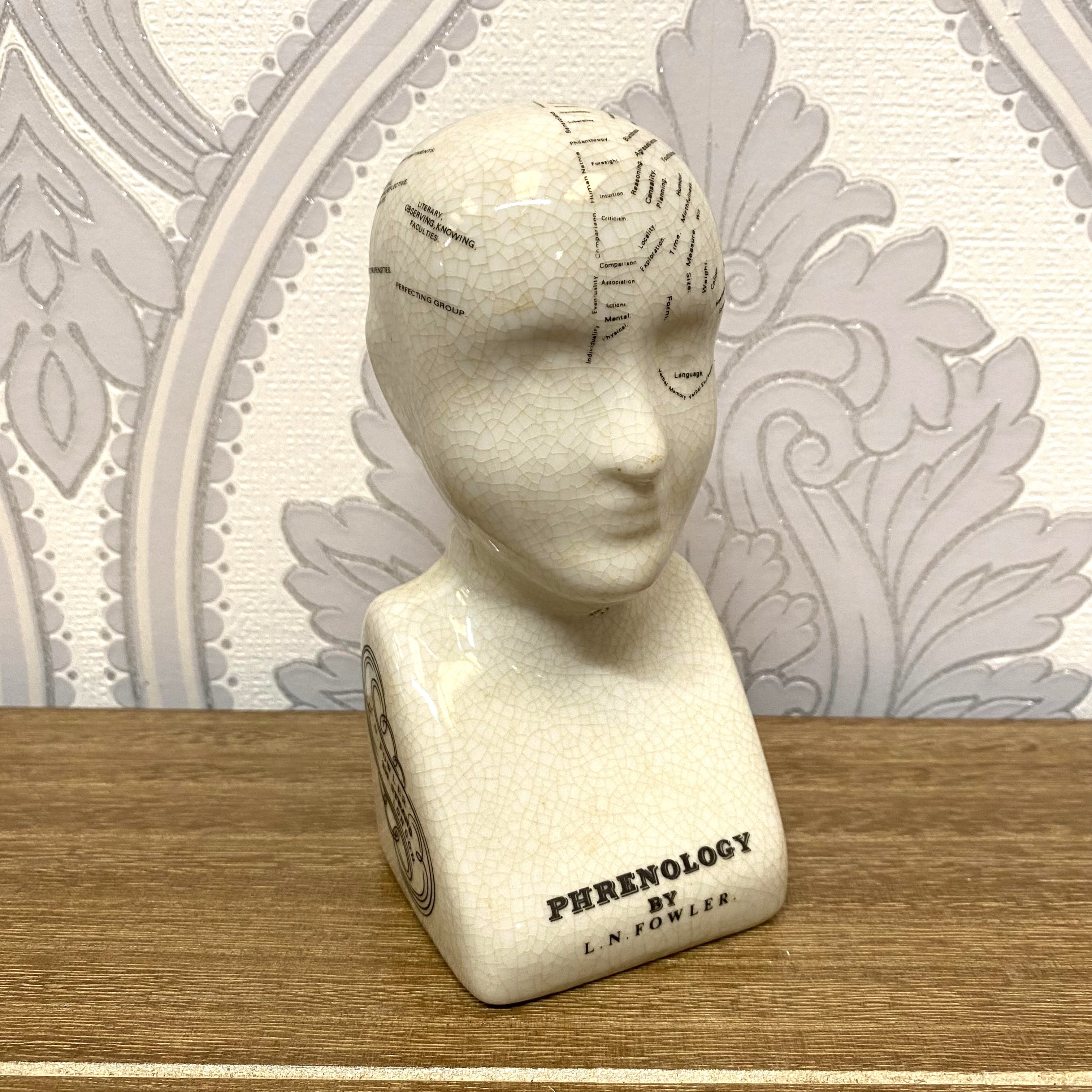 AcaciaHome 6'' Phrenology Ceramic Head