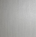 Stardust Silver sw12