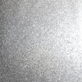 Sequin Sparkle Silver sw9