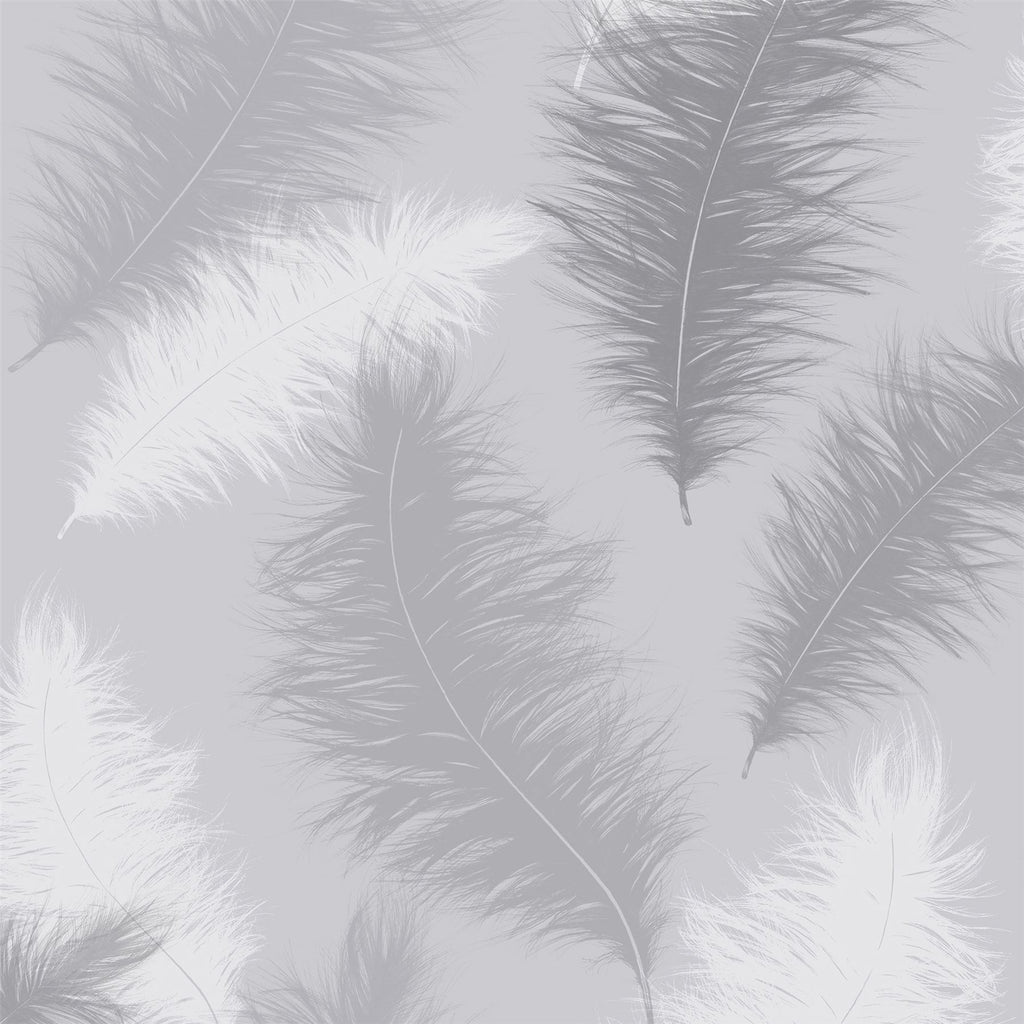 Sussurro Grey Wallpaper sw12