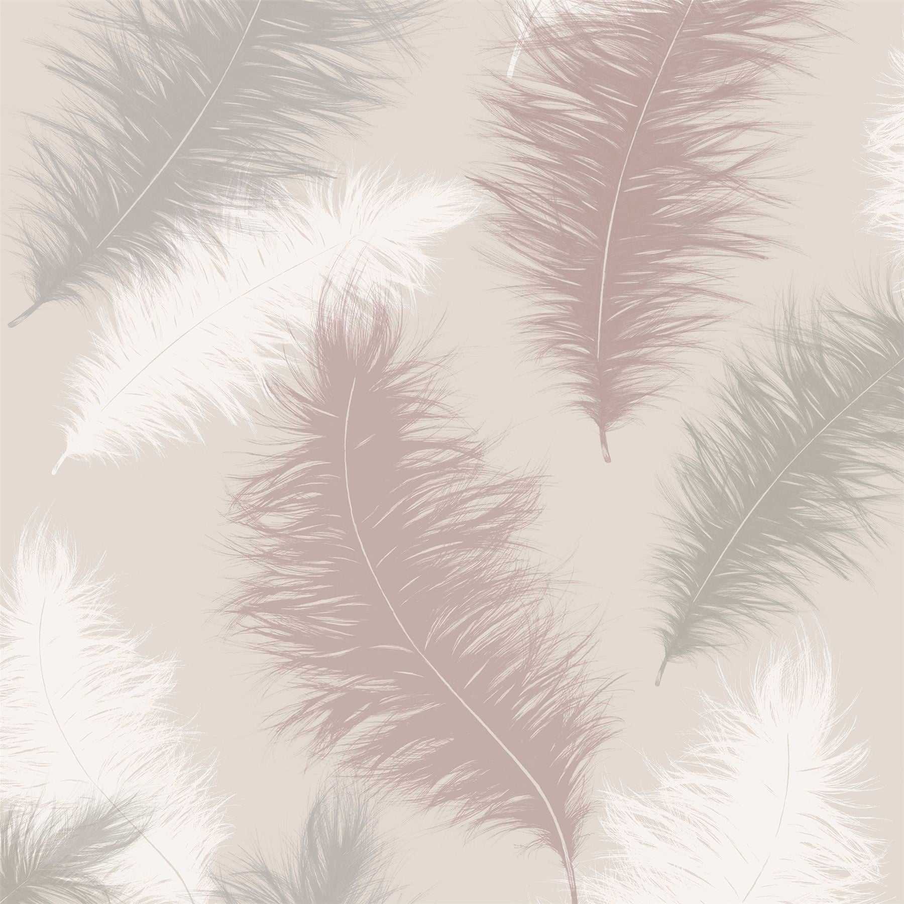 Sussurro Blush Wallpaper sw12