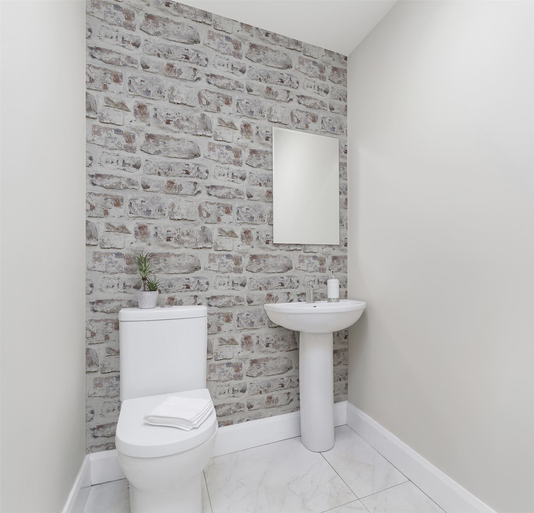 Whitewashed Wall White sw12