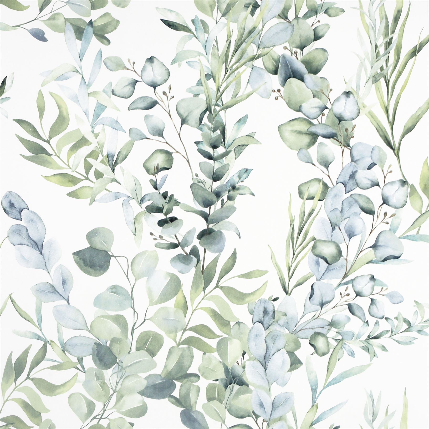 Tranquil Green sw12