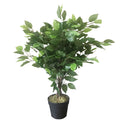 60cm Artificial Ficus Tree / Plant - Large Bushy Shape