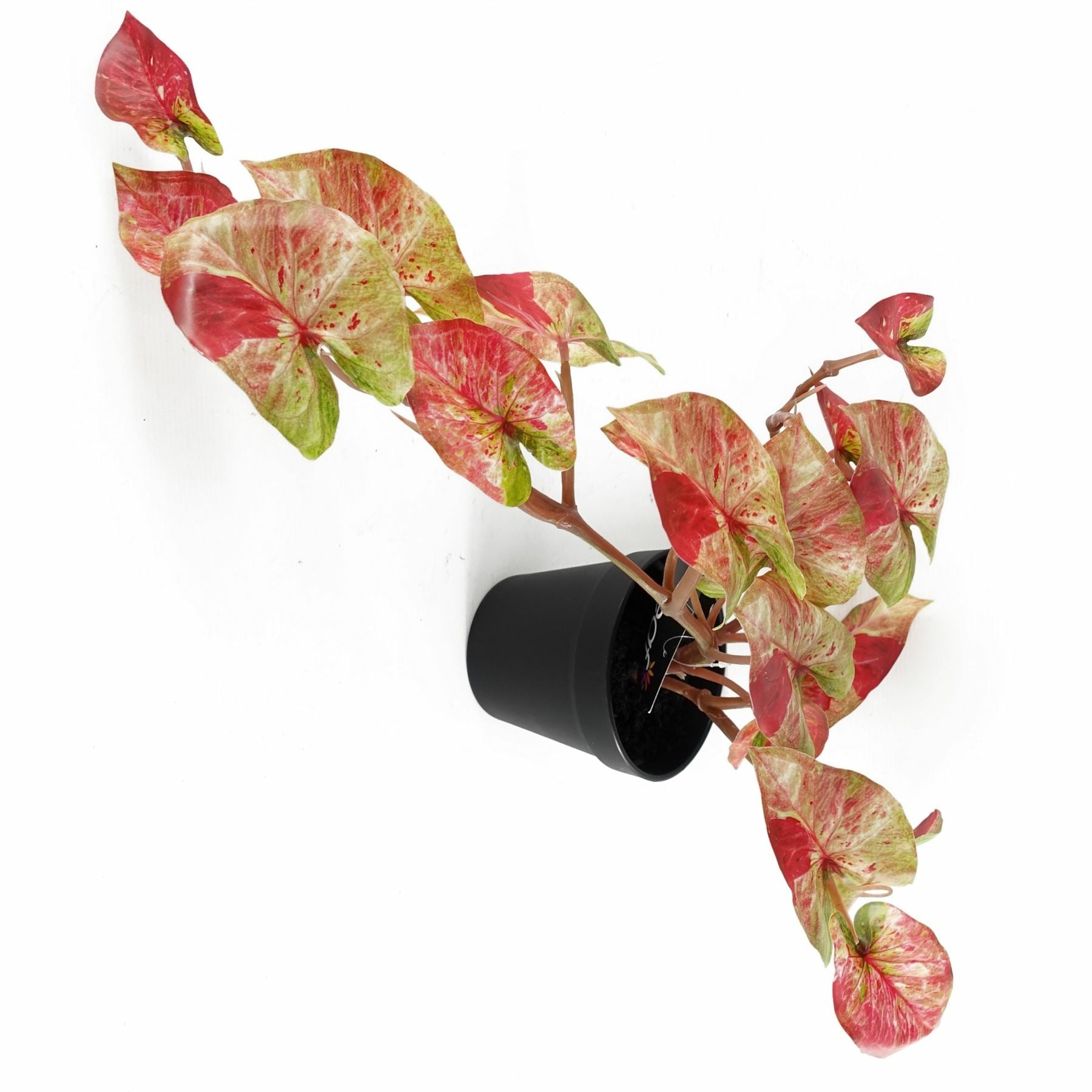 35cm Artificial Trailing Hanging Plant Realistic Pink Splash Caladium