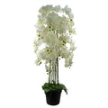 150cm Giant White Orchid Plant Artificial 189 flowers REAL TOUCH