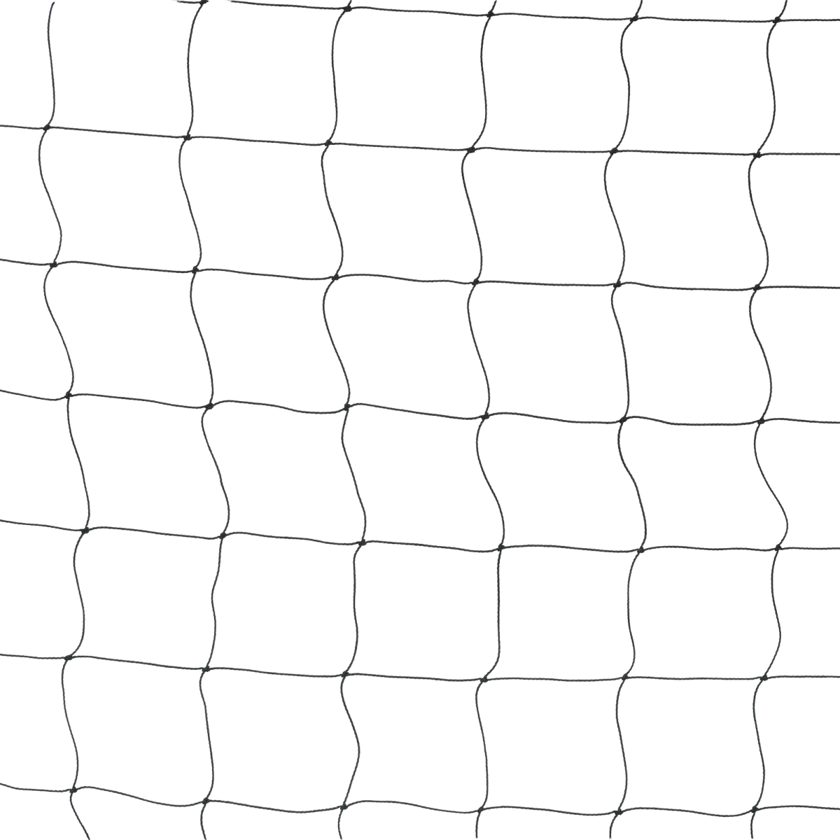 7.png