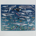 The Ocean 1000 Piece Jigsaw Puzzle