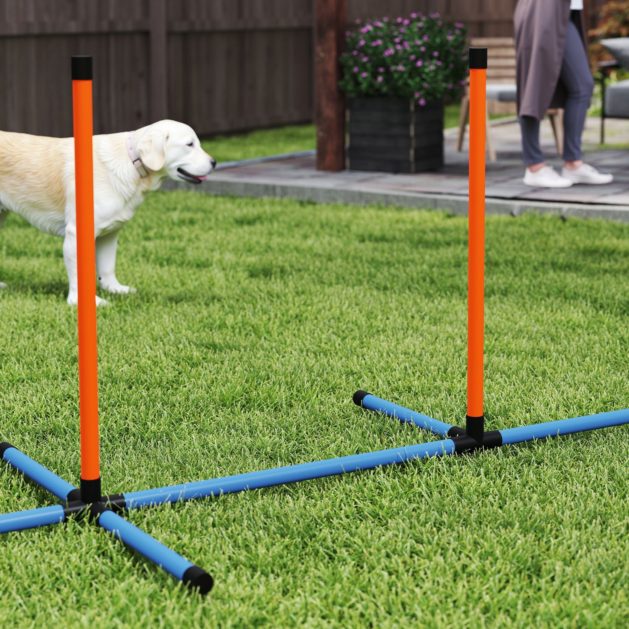PawHut 6 Pieces Dog Agility Equipment, Obstacle Training Course Kit, Orange