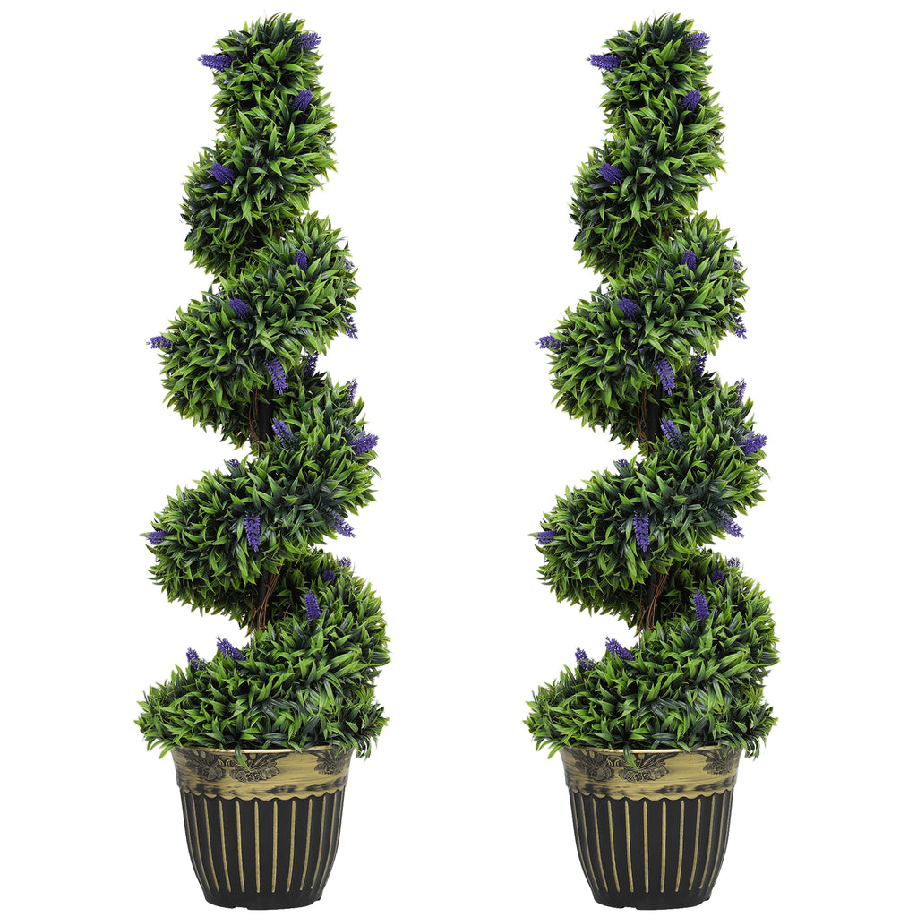 Elegant Spiral Boxwood & Lavender Plant Set – Low Maintenance Decor