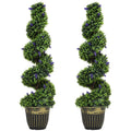 Elegant Spiral Boxwood & Lavender Plant Set – Low Maintenance Decor