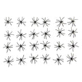 2X Vinsani Pack Of 24 Spooky Spiders Ntt